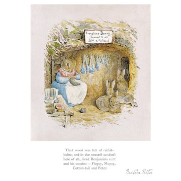 The wood was full of rabbit holes