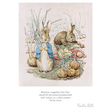 ...they should fill the pocket-handkerchief