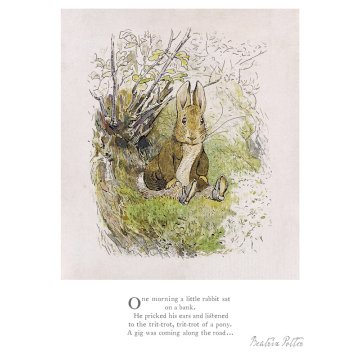 One morning a little rabbit sat on a bank