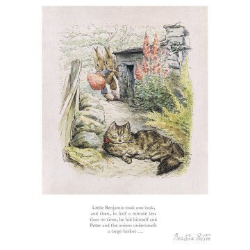 Little Benjamin took one look...