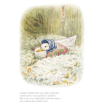 Jemima was surprised to find a quantity of feathers