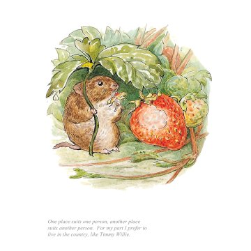 I prefer to live in the country