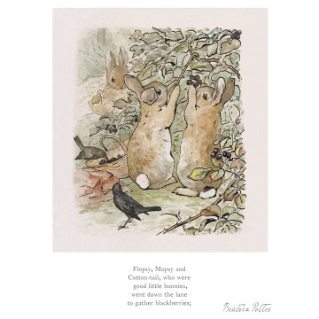 Little bunnies went down the lane 