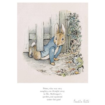 Squeezed under the gate 