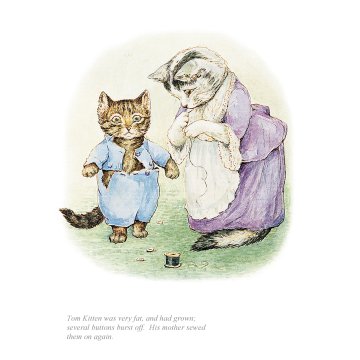 Tom Kitten was very fat, and had grown