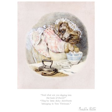 They're little dicky shirtfronts