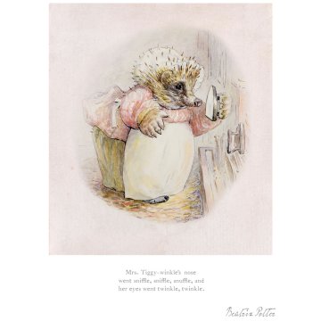 Mrs Tiggy-winkle's nose went sniffle, sniffle