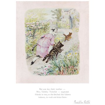 Tabitha Twitchit fetched the kittens indoors