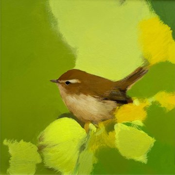 Chiff Chaff in lush greens