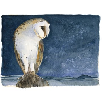 Jackie Morris print Lost Spells Barn Owl  p1