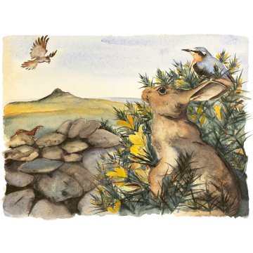 Jackie Morris print Lost Spells Gorse p1