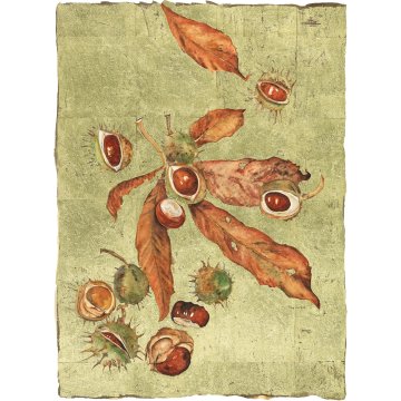 Jackie Morris print Lost Words Conker p1