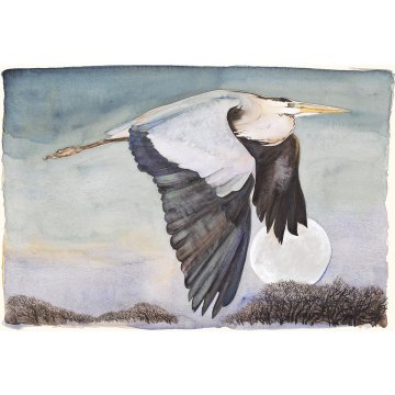 Jackie Morris print Lost Words Heron in Flight p1