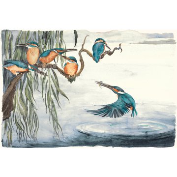 Jackie Morris print Lost Words Kingfishers p1