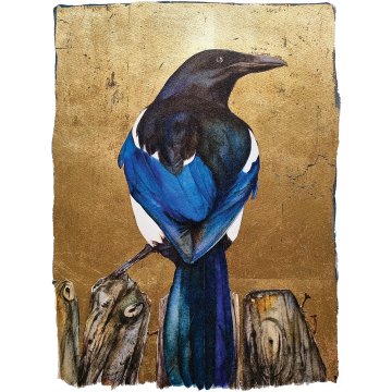 Jackie Morris print Lost Words Magpie premium p1