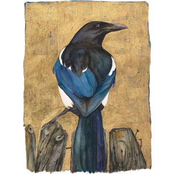 Jackie Morris print Lost Words Magpie p1