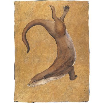 Jackie Morris print Lost Words Otter p1