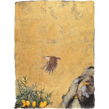 Jackie Morris print Lost Words Wren p1