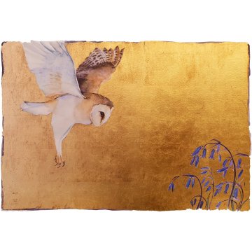 Silent Flight