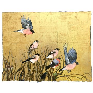 Jackie Morris - Book of Birds - Bullfinch print
