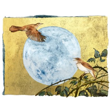 Jackie Morris - The Book of Birds - Nightingale print