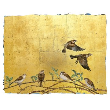 Jackie Morris - The Book of Birds - Sparrow print