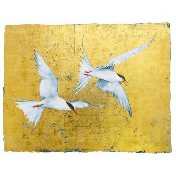 Jackie Morris - The Book of Birds - Tern print
