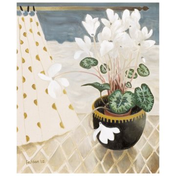 White Cyclamen 2002