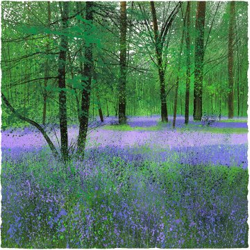 Paul Evans print Birdcall and Bluebells p1