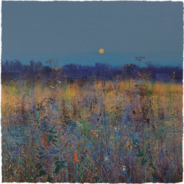 Meadow and Moon