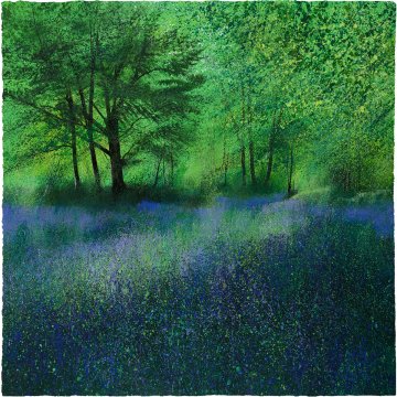 Paul Evans print Secret Bluebells p1