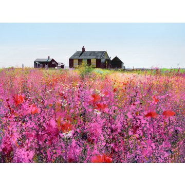 Paul Evans print Summer Colours p1