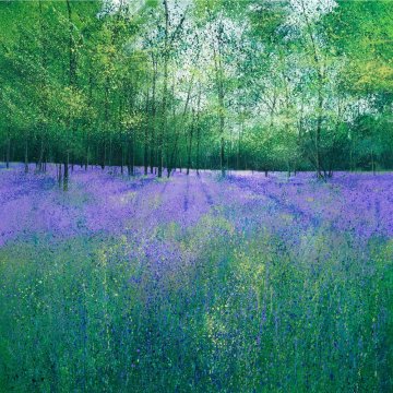 Birdsong and Bluebells