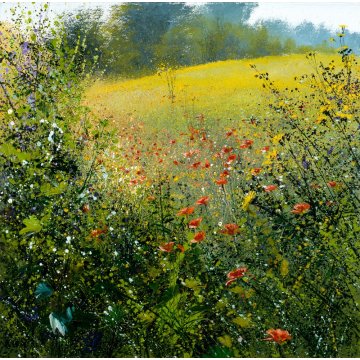 Summer Meadow