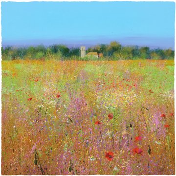 Through the Meadow