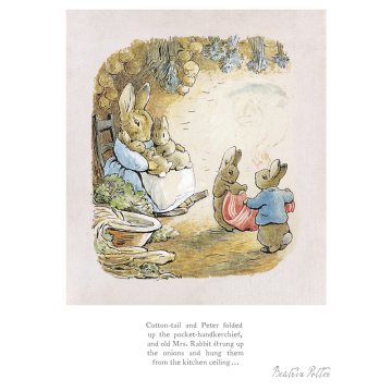 Cotton-tail & Peter folded up the pocket-handkerchief