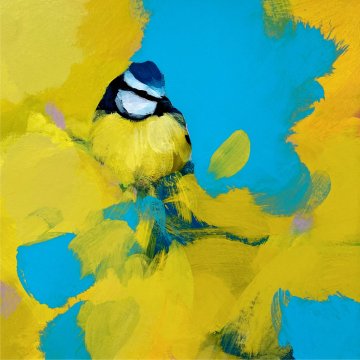 Heidi-Langridge-Blue-Tit-in-yellow-and-blue-P