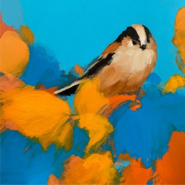 Long Tailed Tit in orange and blue