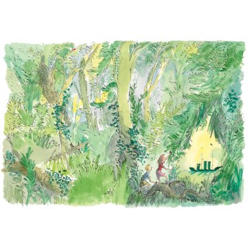 quentin-blake-the-green-ship-signed-print